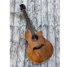 GUITAR ACOUSTIC HD11F (ALL SOLID )