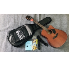 Guitar Acoustic Rosen G15