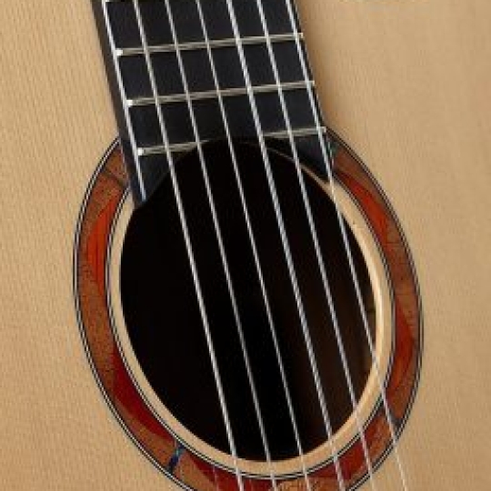 GUITAR YAMAHA NCX1